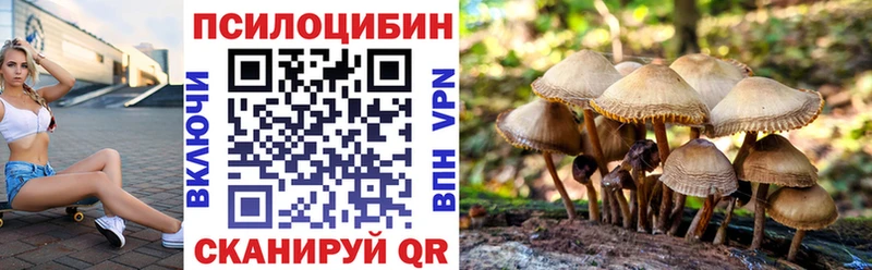 Галлюциногенные грибы Magic Shrooms  Купить закладки  Мичуринск 
